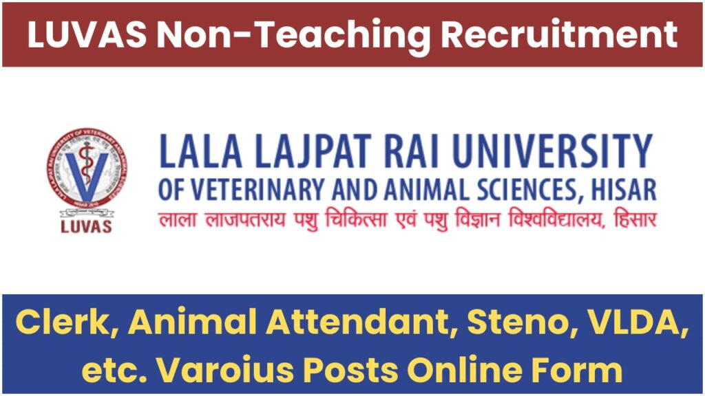 Hisar LUVAS 90 Non-Teaching Vacancy 2023